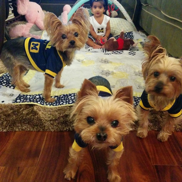 Meet your Posher, Seema - Picture 8 of 14